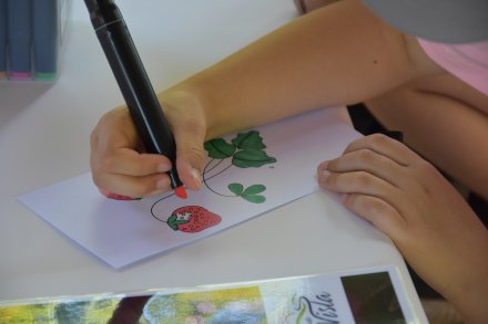 Konferencja Wiślańskie Żywotki